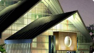 紹興市城市發展集團市政項目